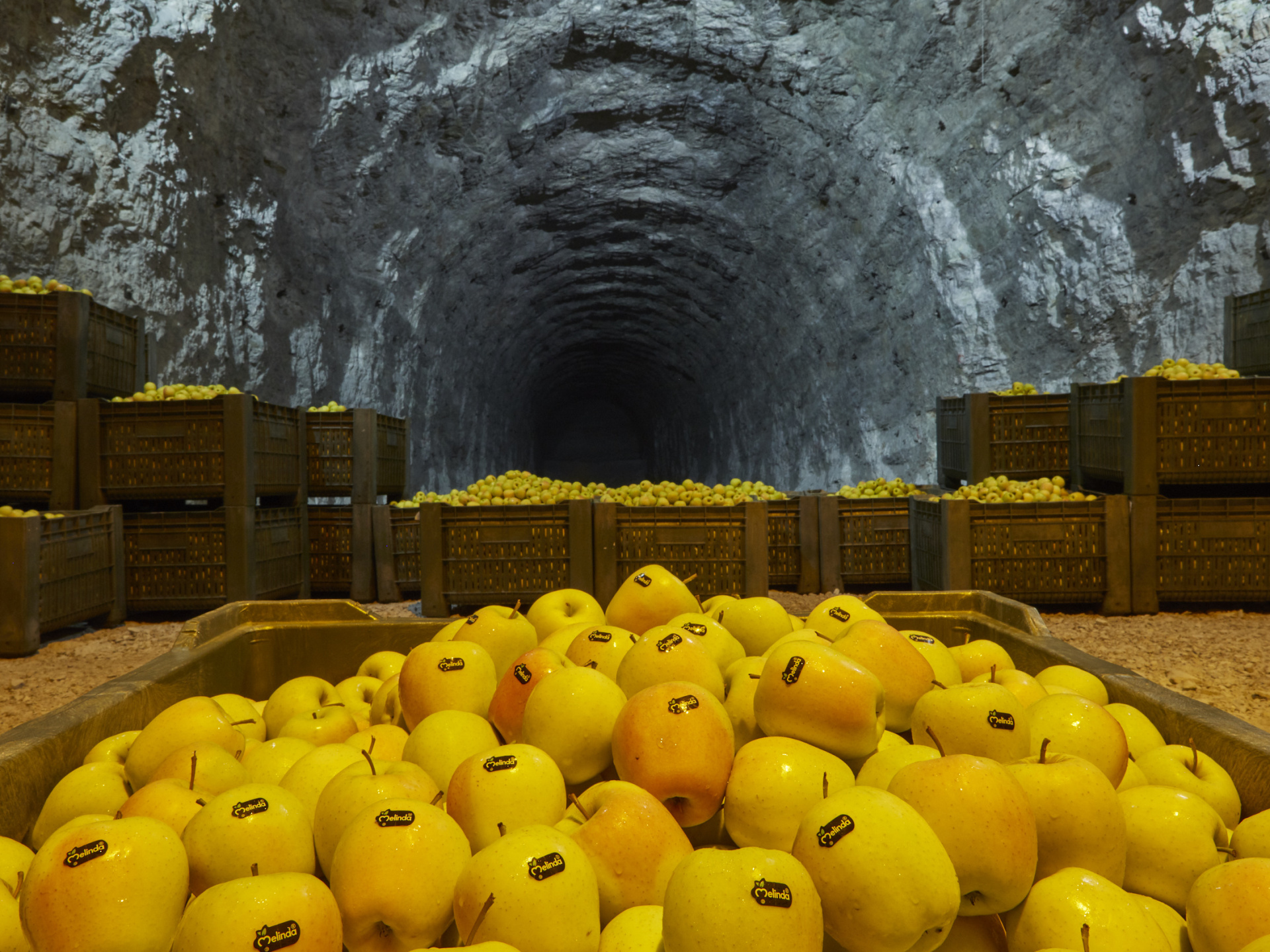 Percorso completo alle sale di lavorazione e celle ipogee Melinda