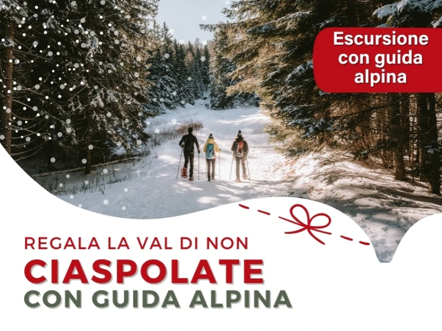 Voucher CIASPOLATA SULLA NEVE IN VAL DI NON